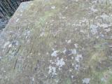image of grave number 281864